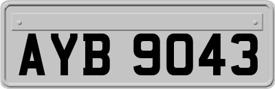 AYB9043