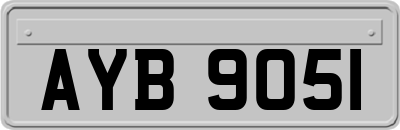 AYB9051
