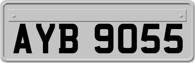AYB9055