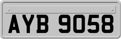 AYB9058