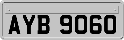 AYB9060