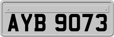 AYB9073