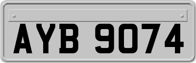 AYB9074
