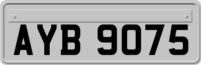 AYB9075