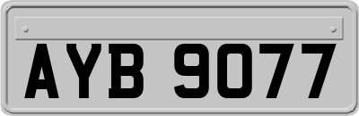 AYB9077