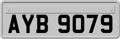 AYB9079