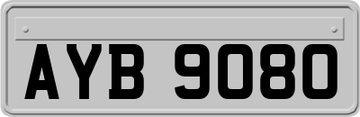 AYB9080