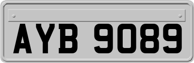 AYB9089