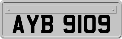 AYB9109