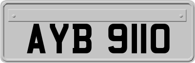 AYB9110
