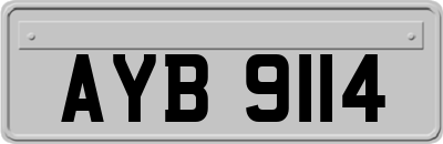 AYB9114