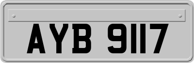 AYB9117