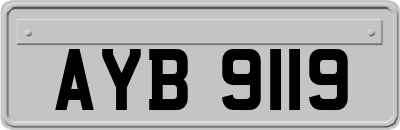 AYB9119