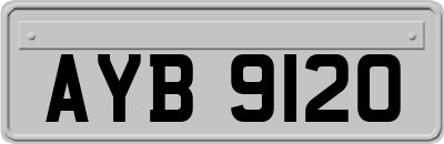 AYB9120