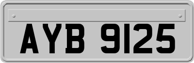 AYB9125