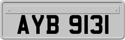 AYB9131