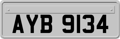 AYB9134