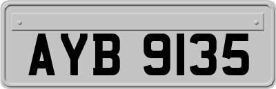 AYB9135
