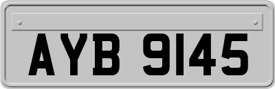 AYB9145