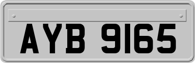 AYB9165