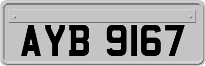 AYB9167