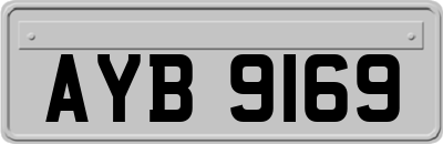 AYB9169