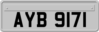 AYB9171