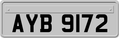 AYB9172