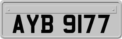 AYB9177