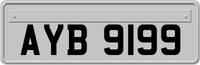 AYB9199