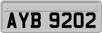 AYB9202