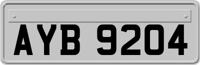 AYB9204