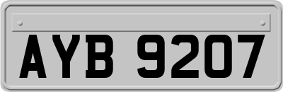 AYB9207