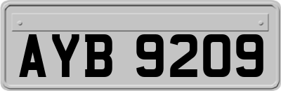 AYB9209