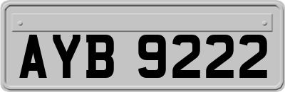 AYB9222