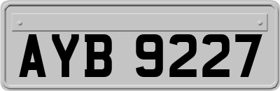 AYB9227