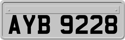 AYB9228
