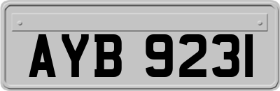 AYB9231