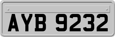 AYB9232