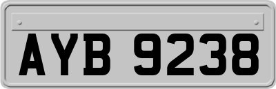 AYB9238