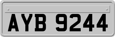 AYB9244