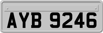 AYB9246