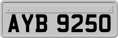 AYB9250