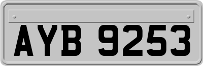 AYB9253