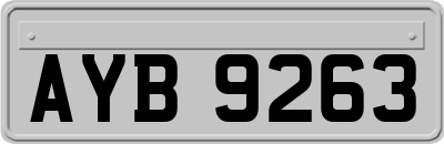 AYB9263