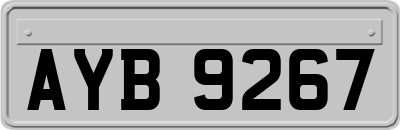 AYB9267