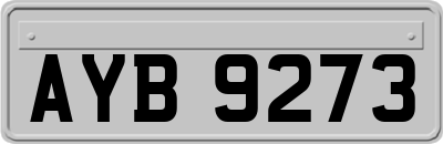 AYB9273