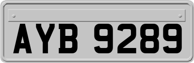 AYB9289