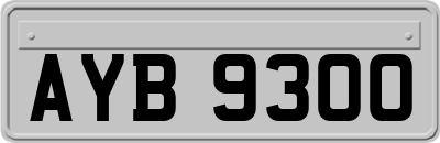 AYB9300