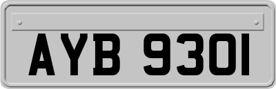 AYB9301